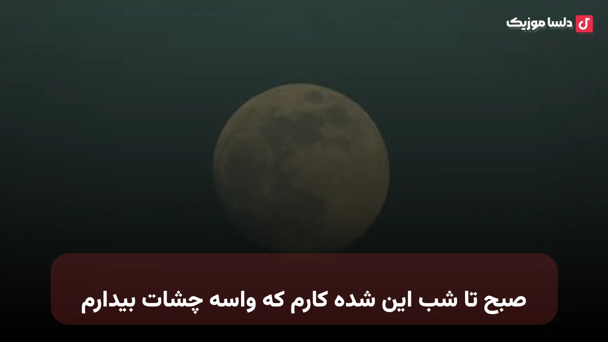 صبح تا شب این شده کارم که واسه چشات بیدارم صدای زن مینل